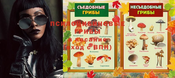 a pvp Абаза