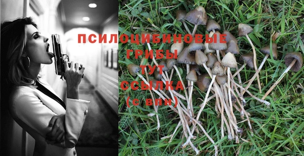 герыч Абинск