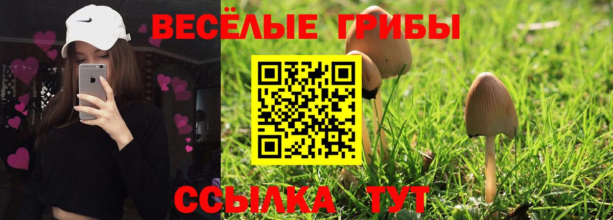 Псилоцибиновые грибы Magic Shrooms  Вход с VPN  Людиново  Галлюциногенные грибы GOLDEN TEACHER 